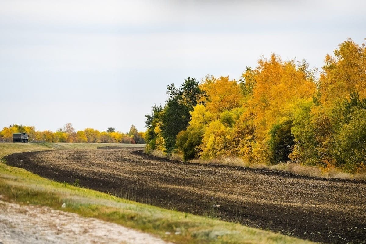 In the Volgograd region on October 9, the air will warm up to +26 ° C