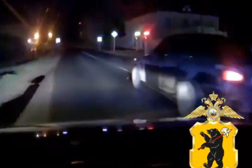 In der Region Jaroslawl identifizierten 36 betrunkene Fahrer