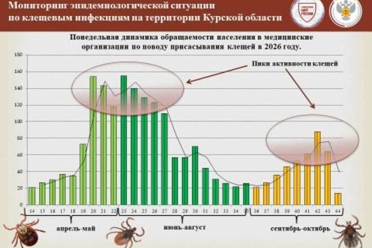 In the Kursk region for the season ticks sucked to 2039 residents of the region
