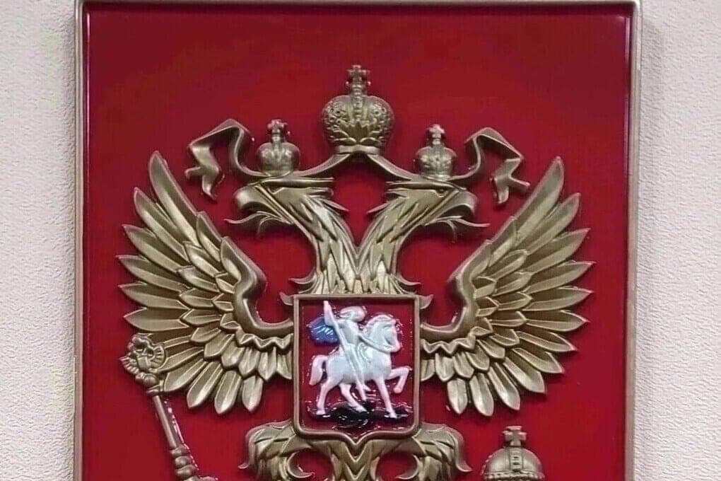 The organization of the activities of the Korenevsky District Court was studied