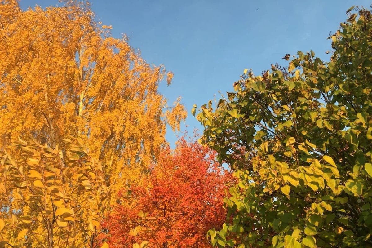 In Ryazan EMERCOM told about the weather on October 21
