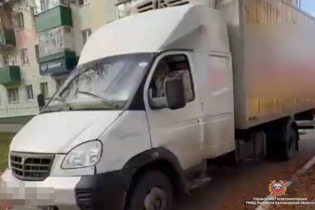 In Gubkin under the wheels of the car killed grandmother
