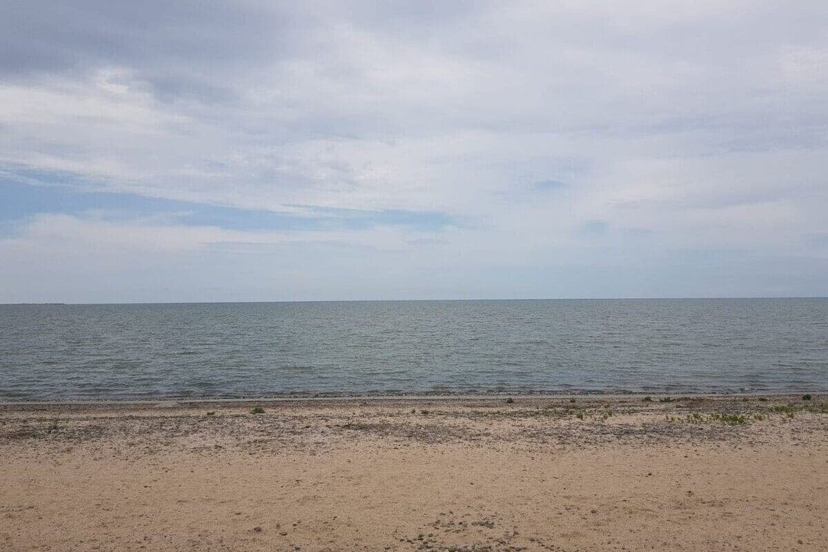 The body of an elderly man was found in an estuary in the Primorsky-Akhtar district