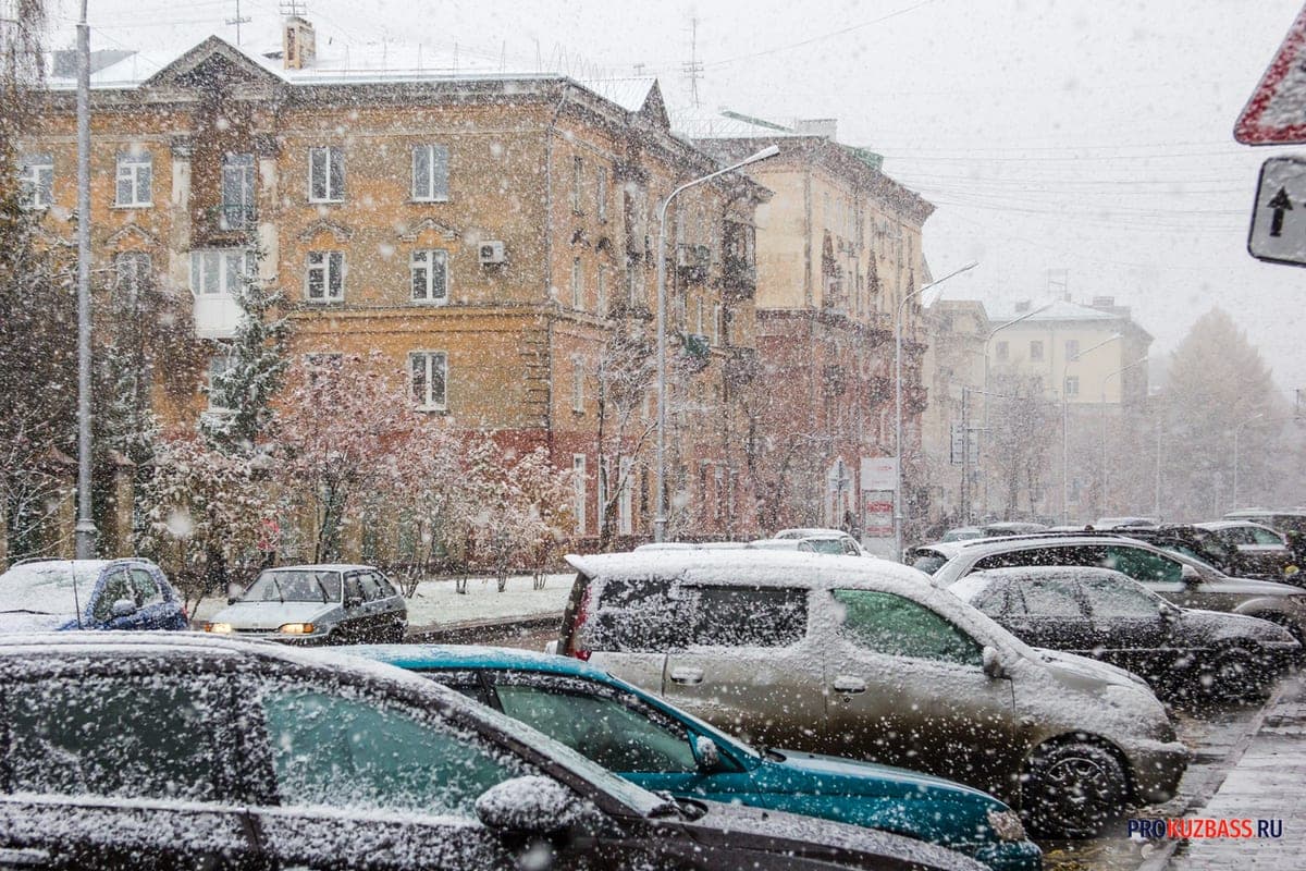 Snow and up to -5: winter finally comes to Kuzbass