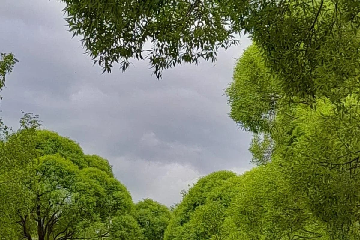 Dans la région de Kaliningrad le 26 octobre à +12 ° C avec pluie