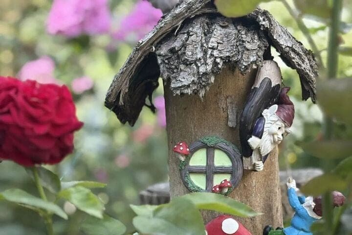 Сочи встречает Осия Колесника - что по народным приметам нельзя делать 30 октября