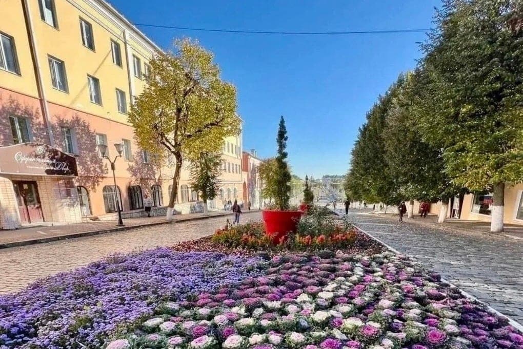 Nearly a thousand trees will be planted in Orel this autumn