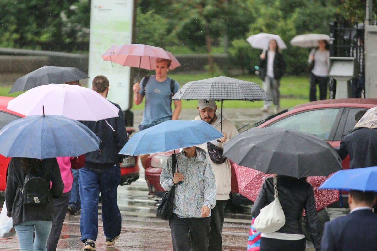 Residents of Siberia warned of cool weather on October 15