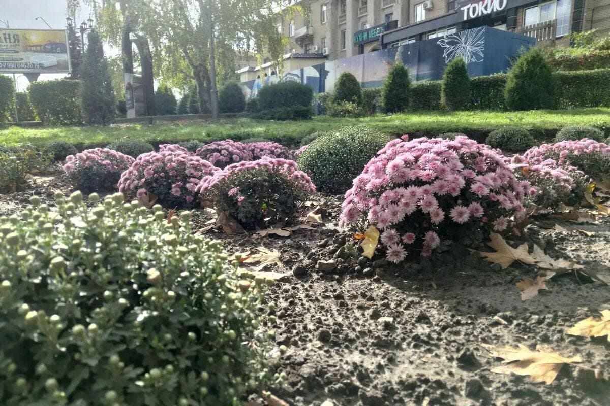 In the Zaporozhye region, October 21 will be cloudy with clarifications