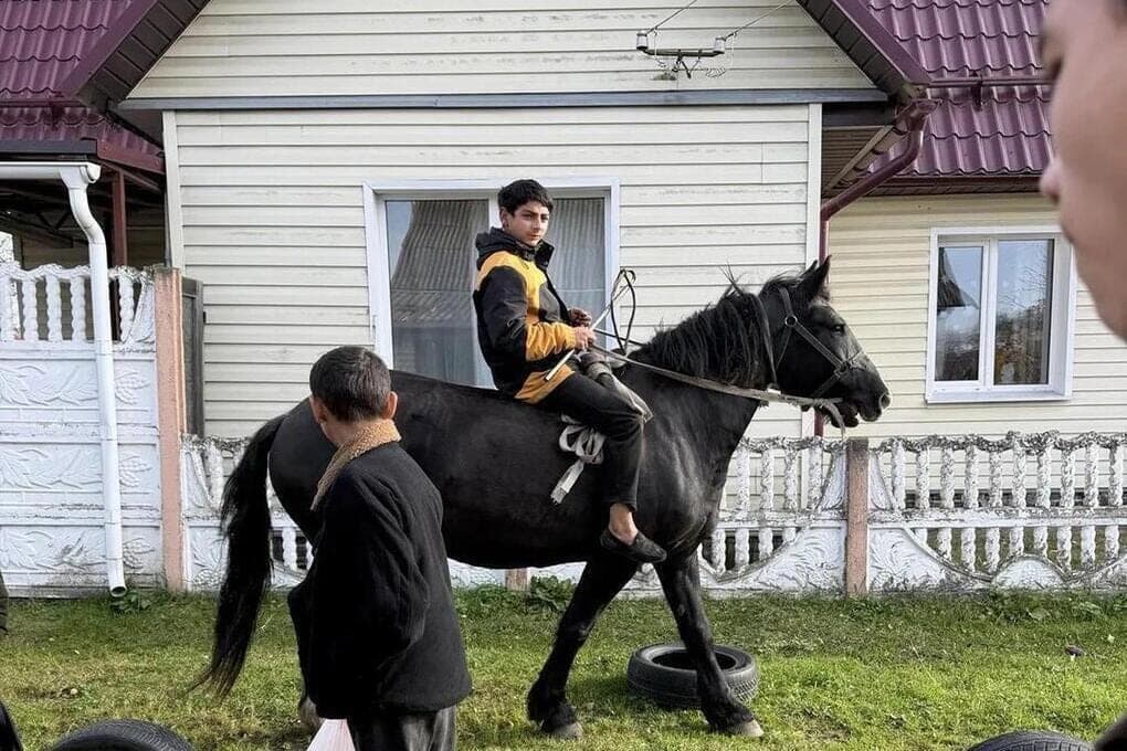In Bryansk, horse owners warned about the responsibility for self-driving