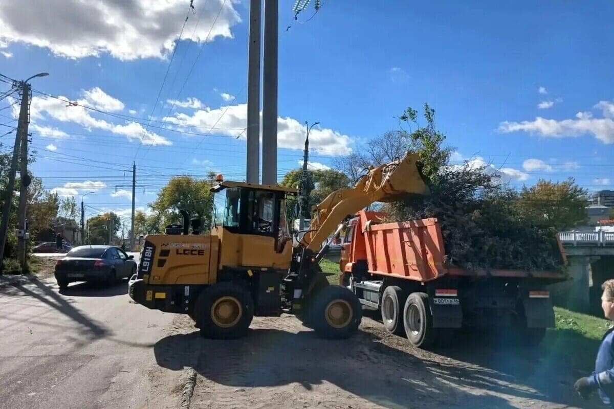 In Kursk removed branches and garbage from two streets