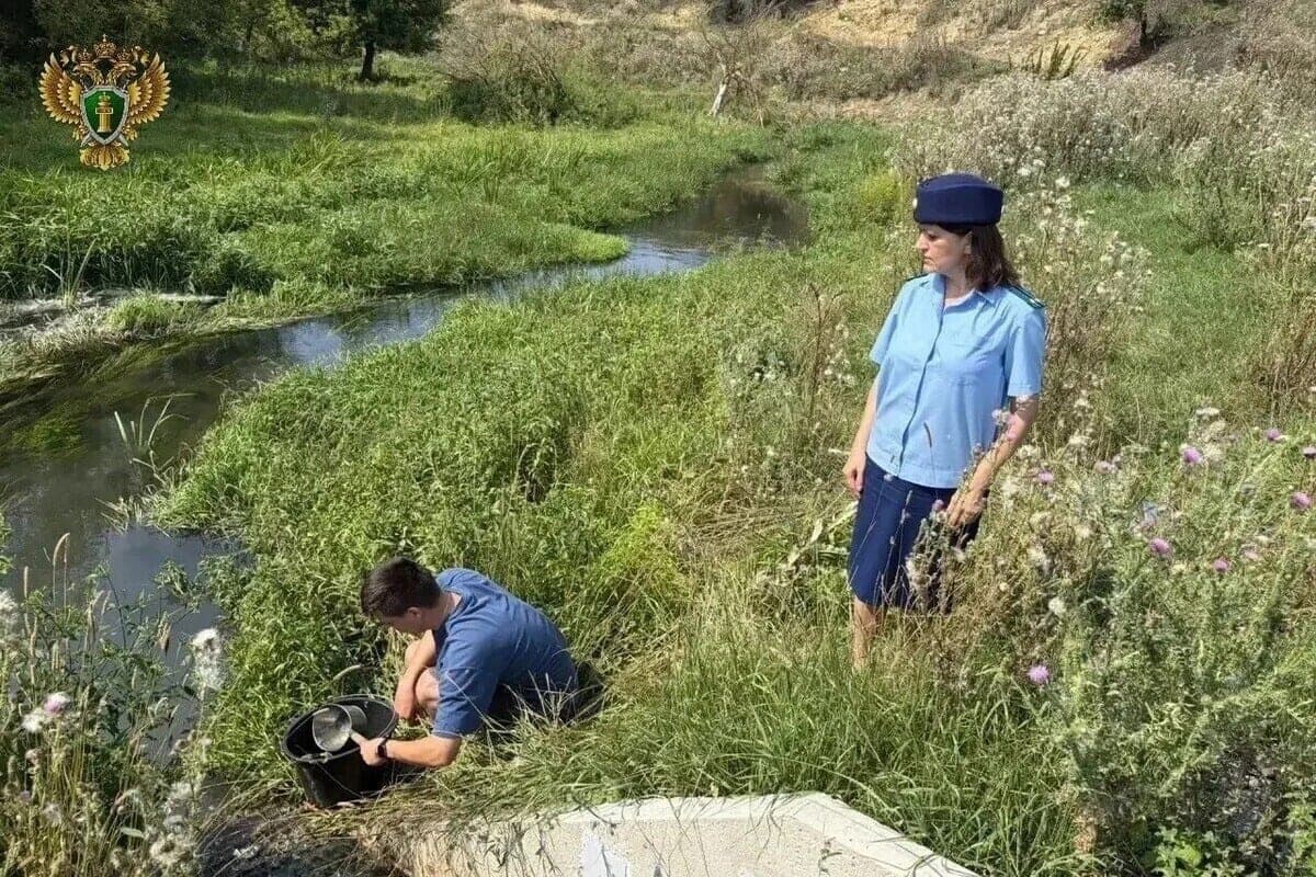 LLC "Cherkizovo-meat products" under Tula polluted the river Lyubashevka