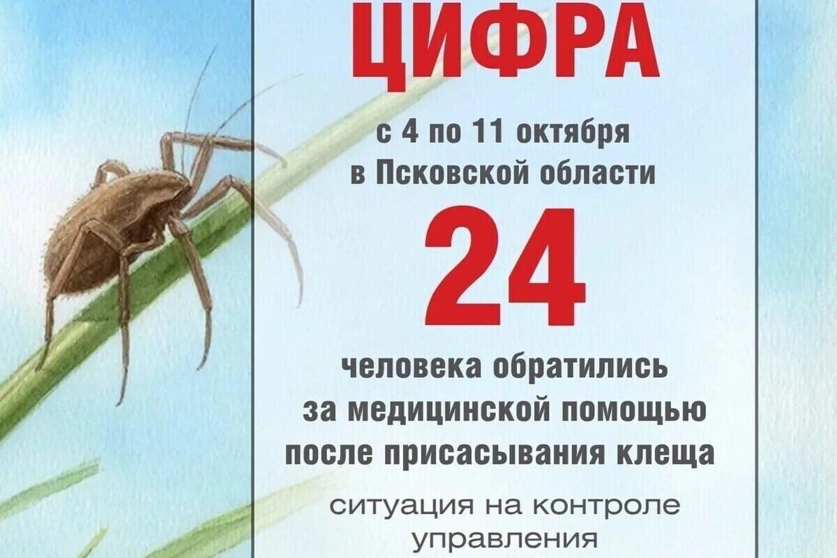 Rospotrebnadzor published statistics on tick bites in the Pskov region