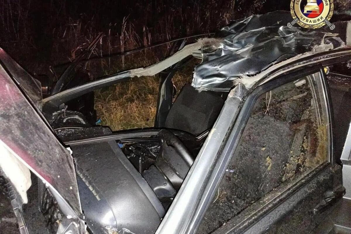 Три человека попали в реанимацию после наезда на лося
