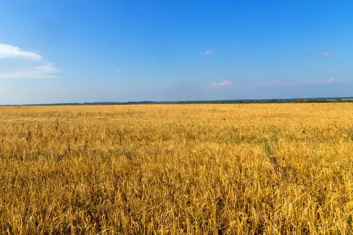 The President congratulated farmers on their professional holiday