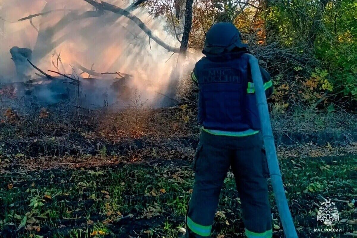 Один человек погиб на пожаре в Запорожской области