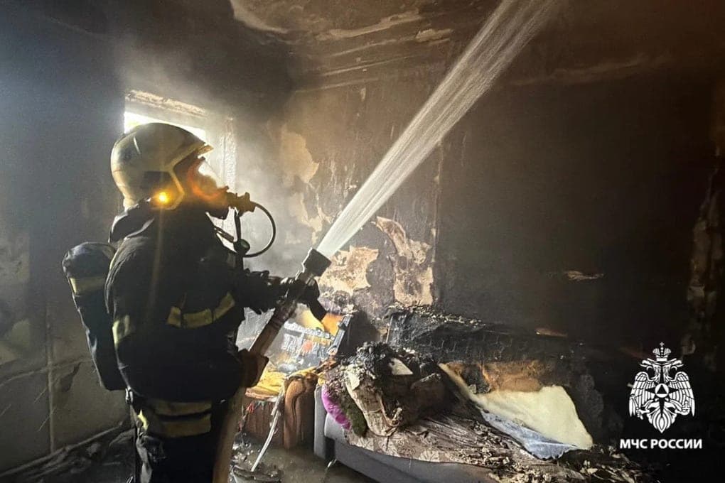 In the Yaroslavl region, firefighters helped detain an arsonist