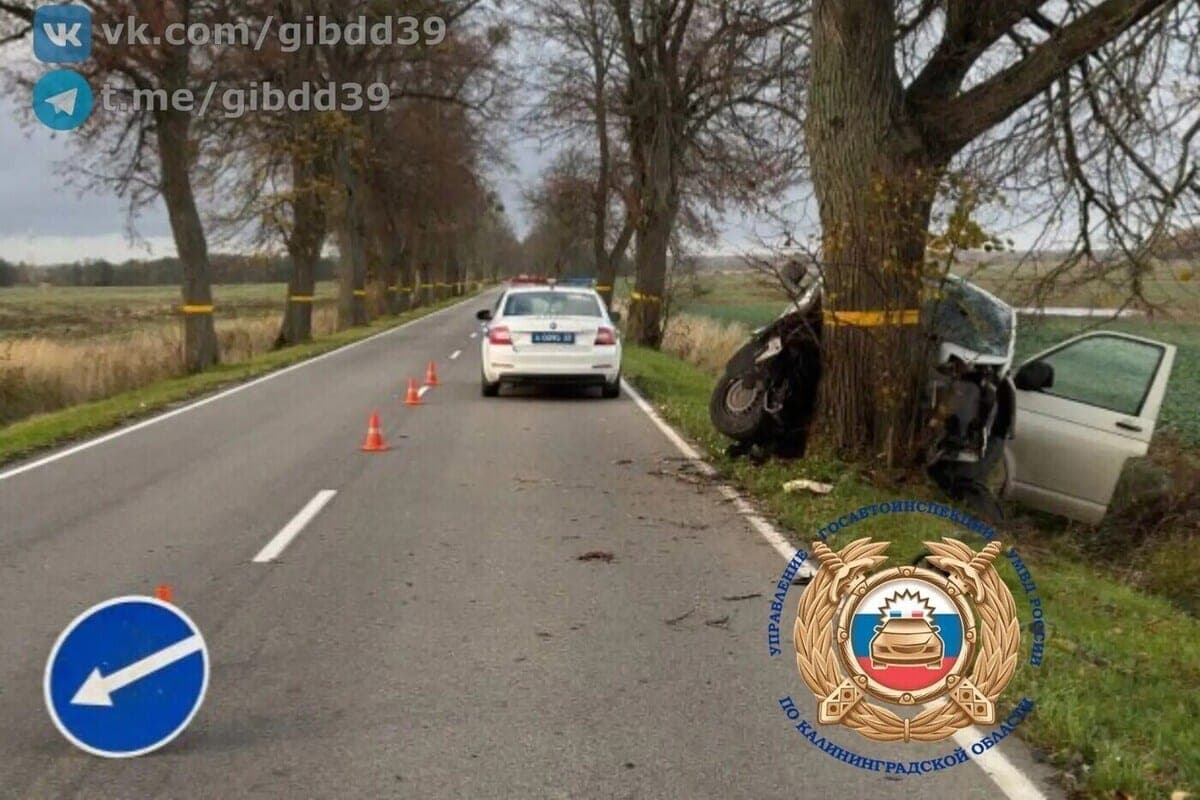 Под Правдинском Volkswagen съехал с маршрута прямо в дерево