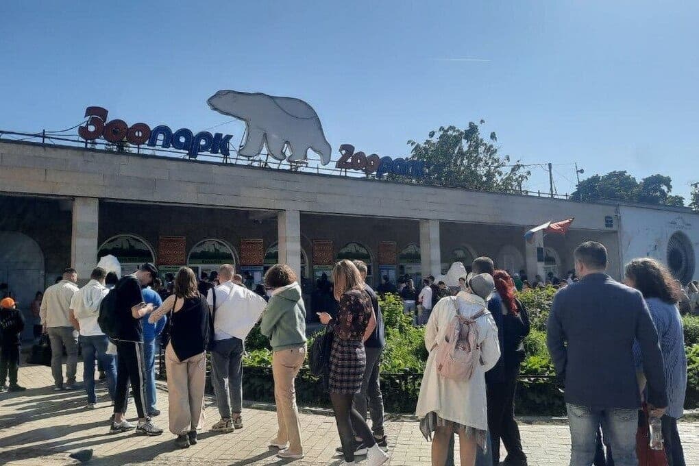 Internet speed near Leningrad Zoo increased by 20%