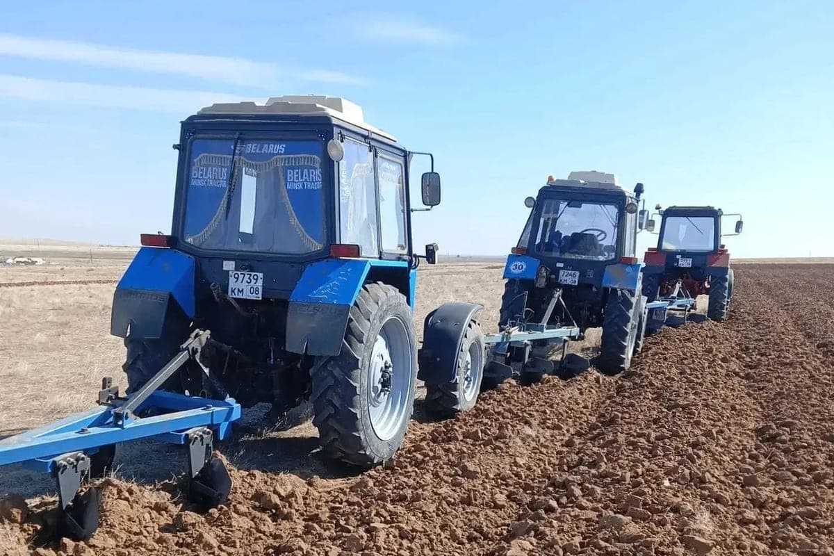 Kalmykia foresters prepare the soil for planting seedlings