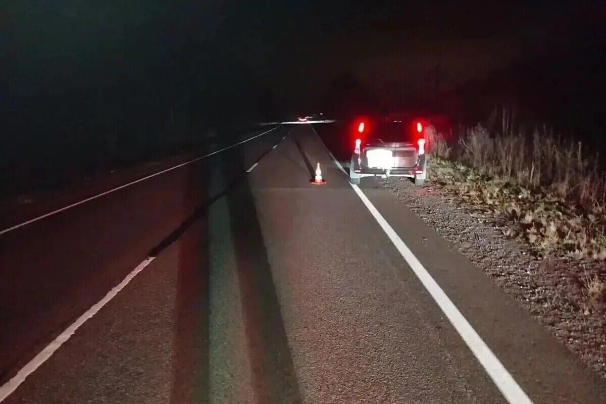 On the Federal highway in Mari El killed a pedestrian