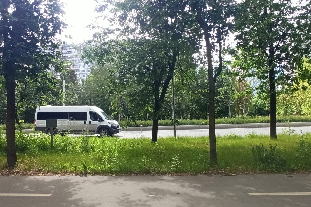 In Vladimir revealed more than a dozen violations of the rules of transportation of passengers in buses