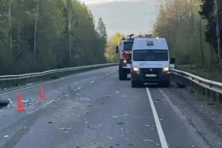 В Выборгском районе байкер съехал в кювет, врезался в камень и погиб