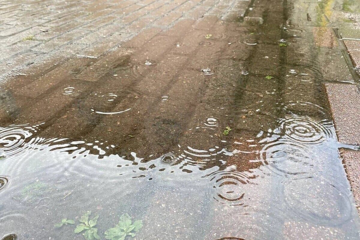 Rains and warming to +10 degrees predicted in the Murmansk region on October 26