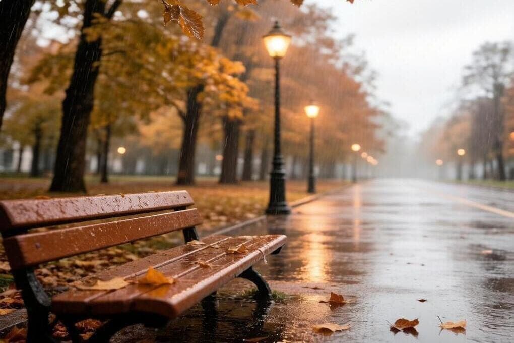 Forecasters told about the weather in Kursk on Monday, October 19