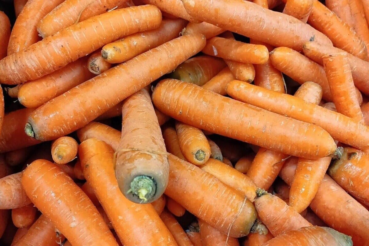 In September, the price of carrots in St. Petersburg fell by 20%