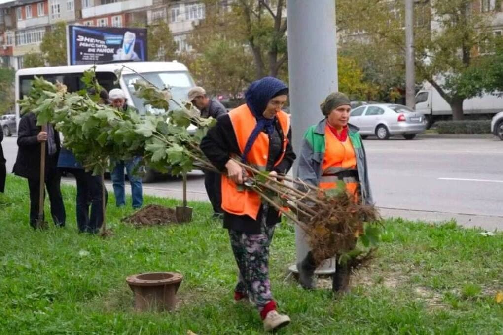 Makhachkala planted maples in memory of the liquidators of the Chernobyl accident