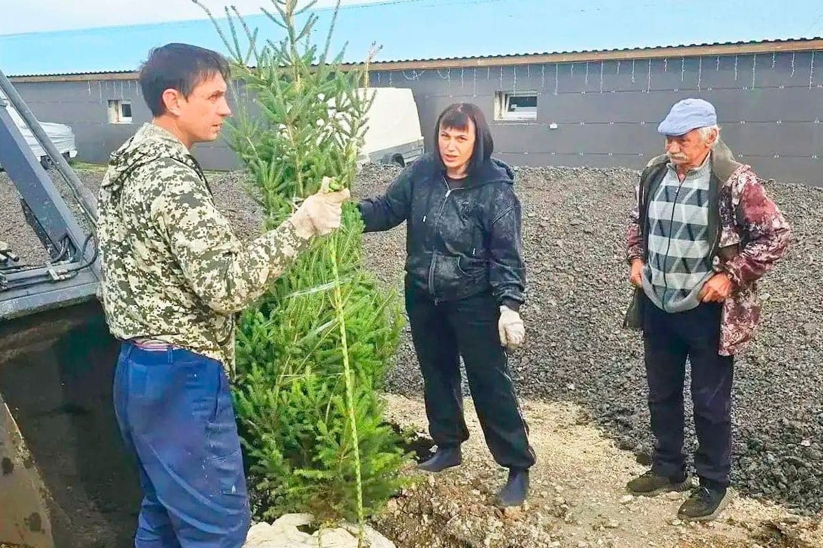 Lipetsk voluntarios pusieron en orden un parque antiguo en Palna Mikhailovka
