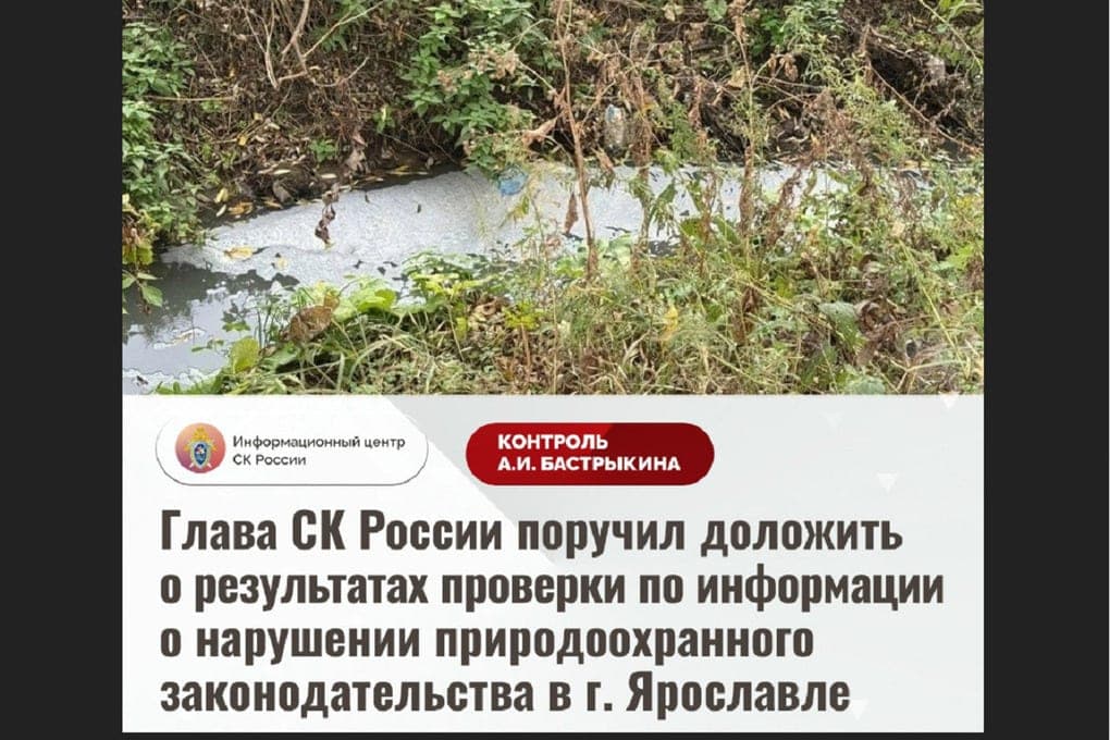 Der Leiter der CKP wird über den Fluss Jaroslawl Tolgobolka berichten