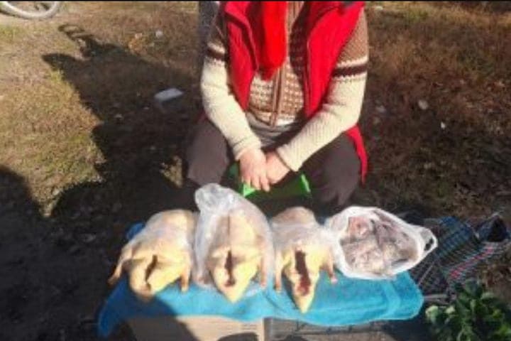 В Курске шесть человек продавали молочку и яйца без ветеринарных документов