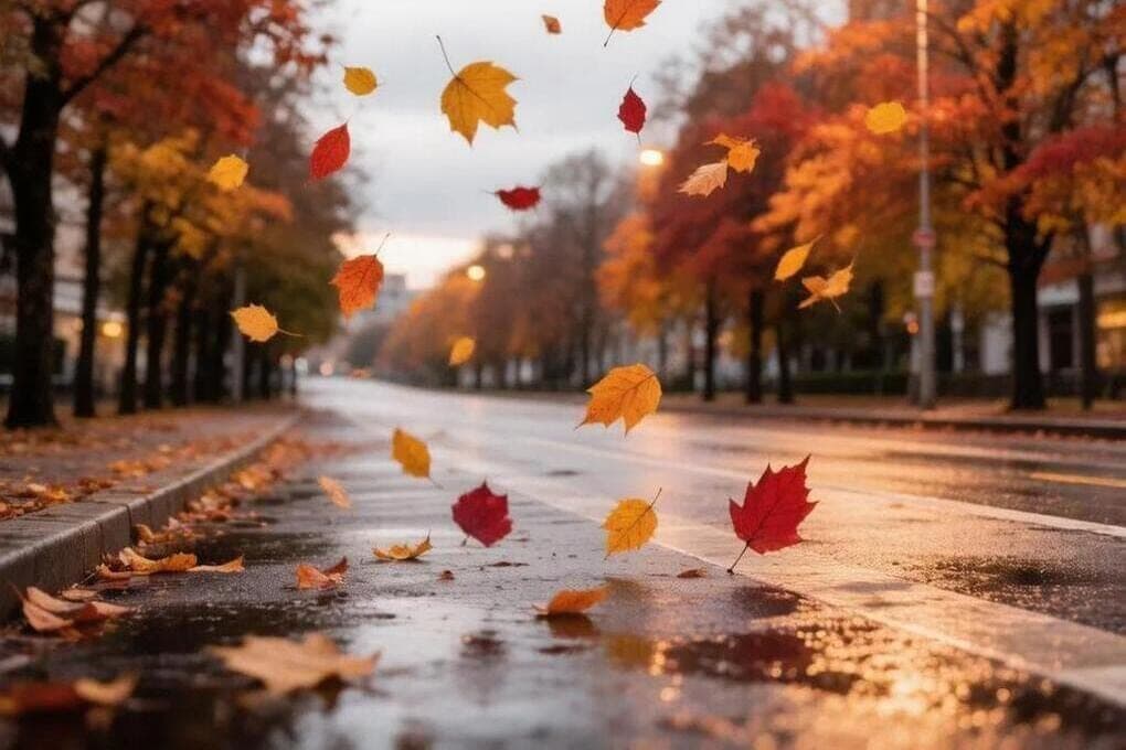 In the Tyumen region on October 12 warmth, rain and gusty wind