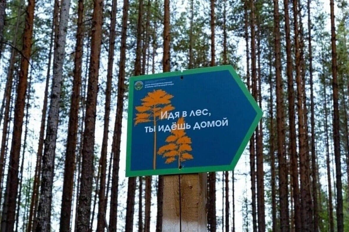 In the Kholmogorsk district will clean the ecotrope “To the Si lakes” and the forest at Sosnino