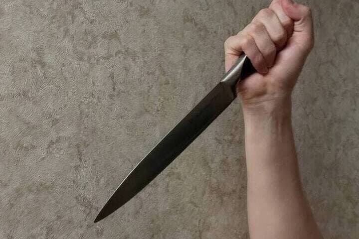 For reproaches, a resident of Severomorsk threatened a cohabitant with a knife