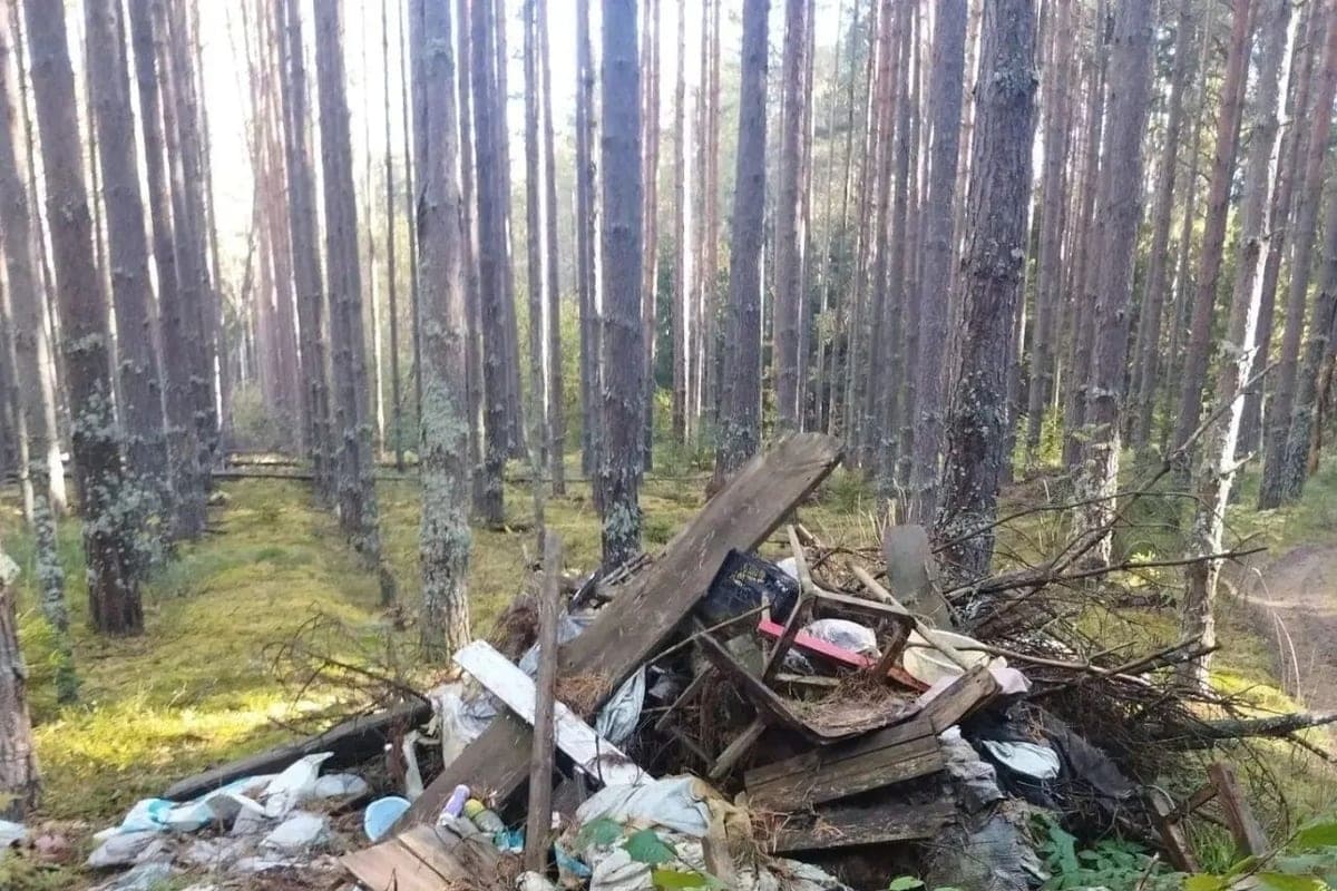 Большую свалку ликвидировали в лесу Селивановского района