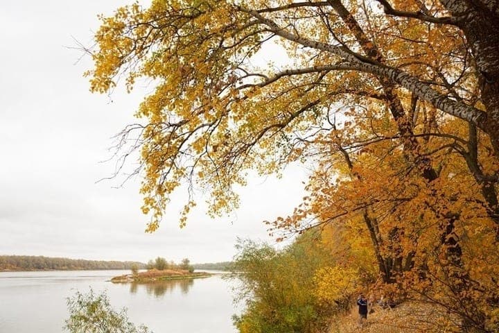 Warming to +19 degrees is expected in the Volgograd region on October 29