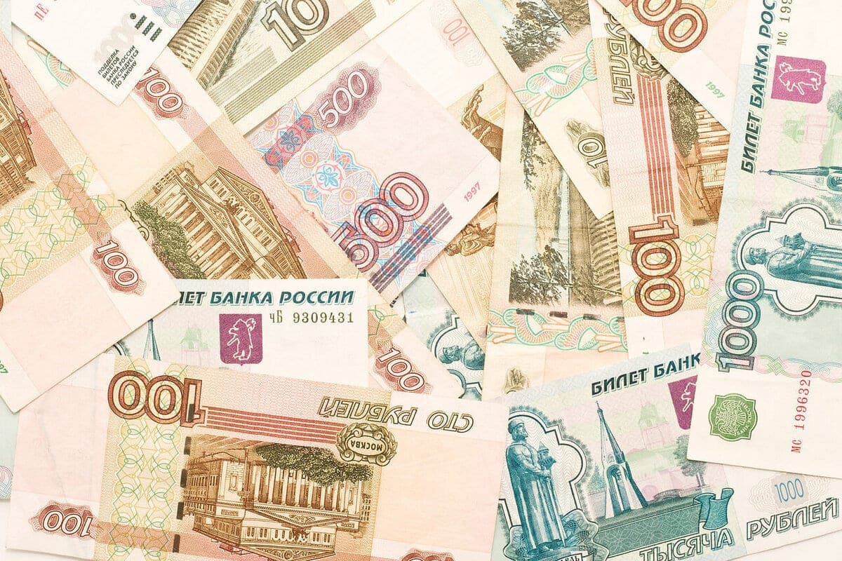 TOS “Future of Shoyna” will receive a grant of 250 thousand rubles