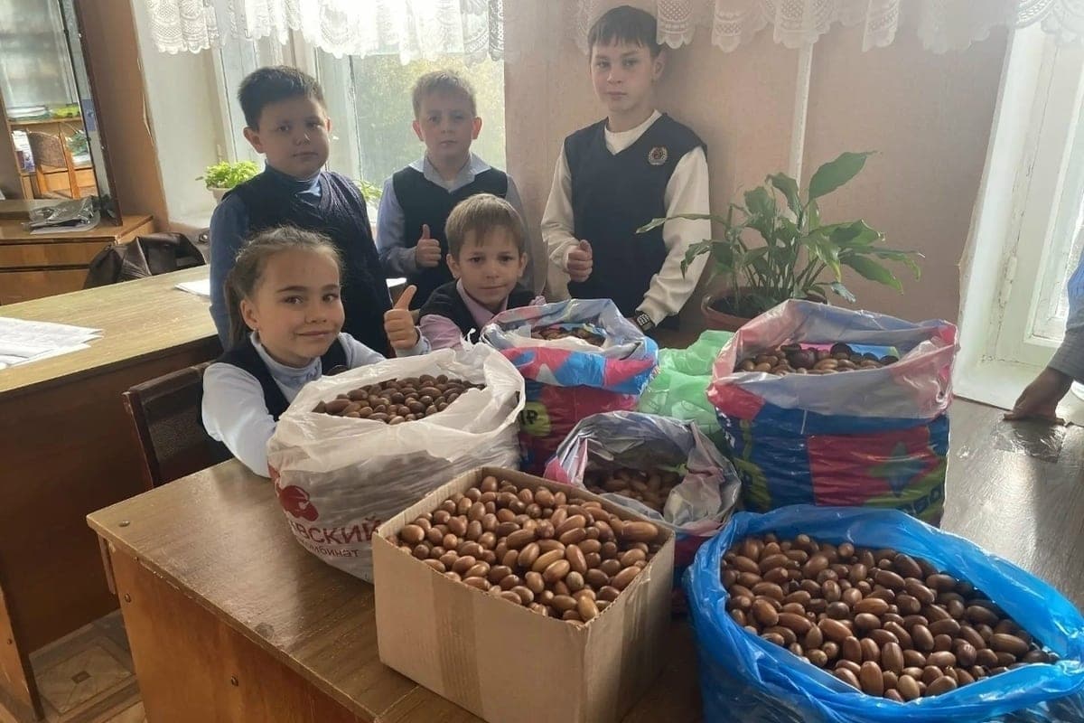 In Mtsensk, schoolchildren contributed to the restoration of the forest