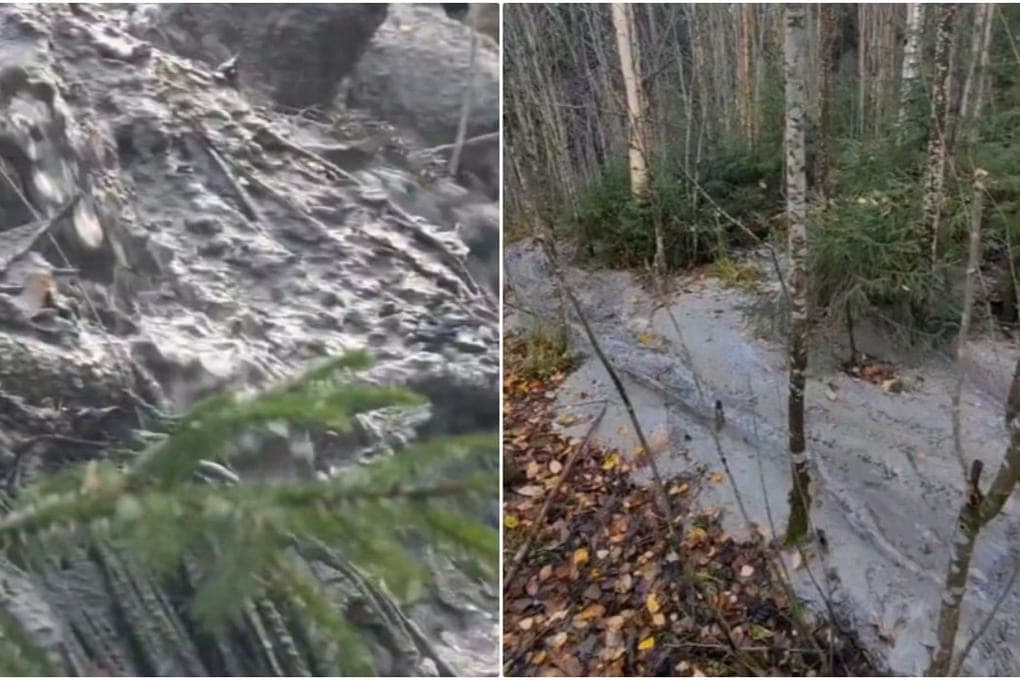 Environmental disaster in Petrozavodsk: concrete rivers pollute the forest