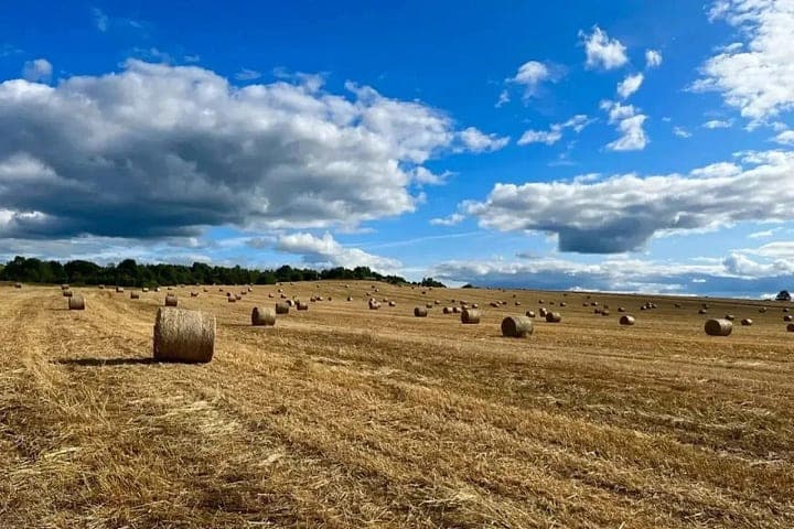 In Pomorie summed up the preliminary results of forage and harvesting campaigns
