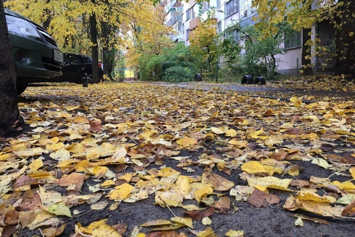 On Friday in the Voronezh region will be up to 21 degrees of heat