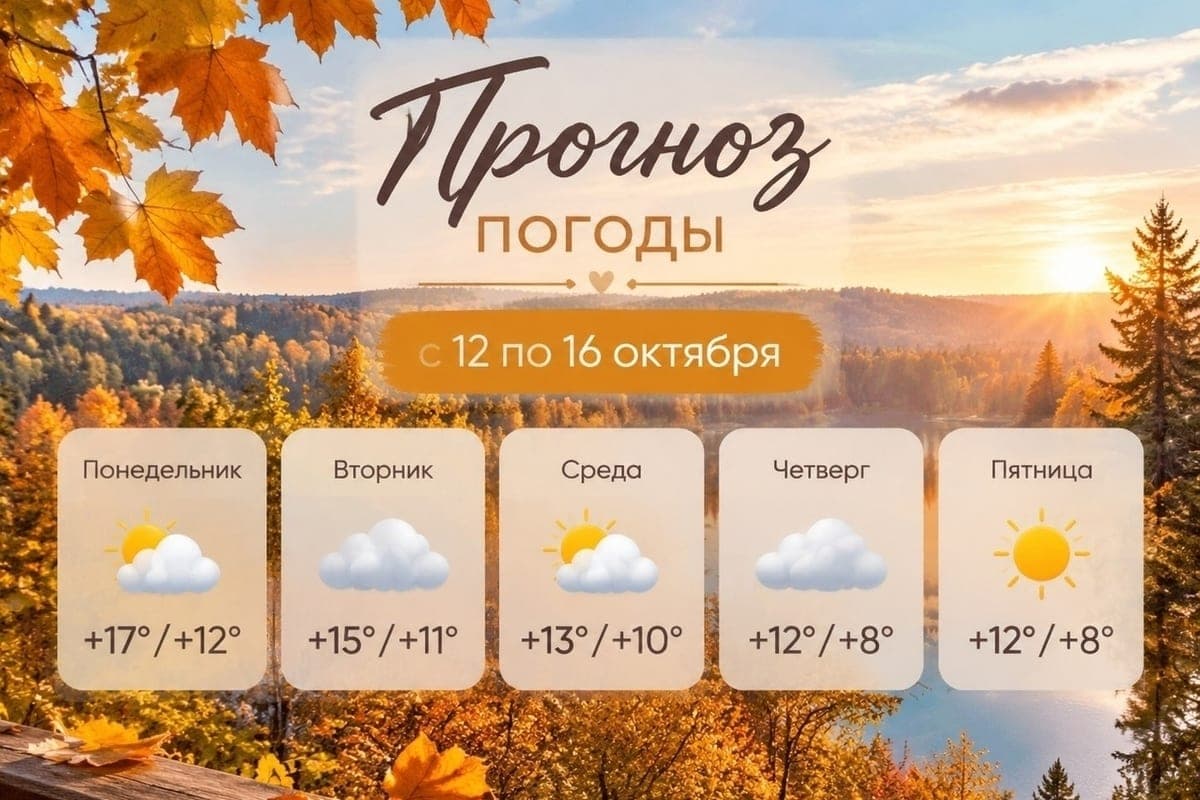 In the Vladimir region by the end of the week will be colder
