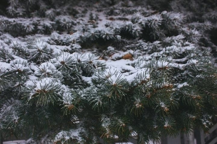 Heavy snowfall will hit the mountains of Khakassia on October 13