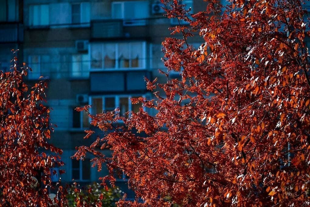 In the southern Urals on Thursday will warm up to +16 degrees