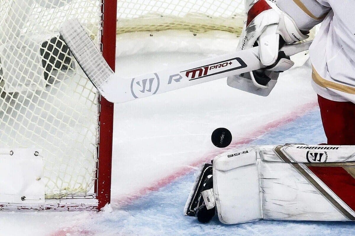 New SKA coach Andrei Razin equalized the rights of all hockey players
