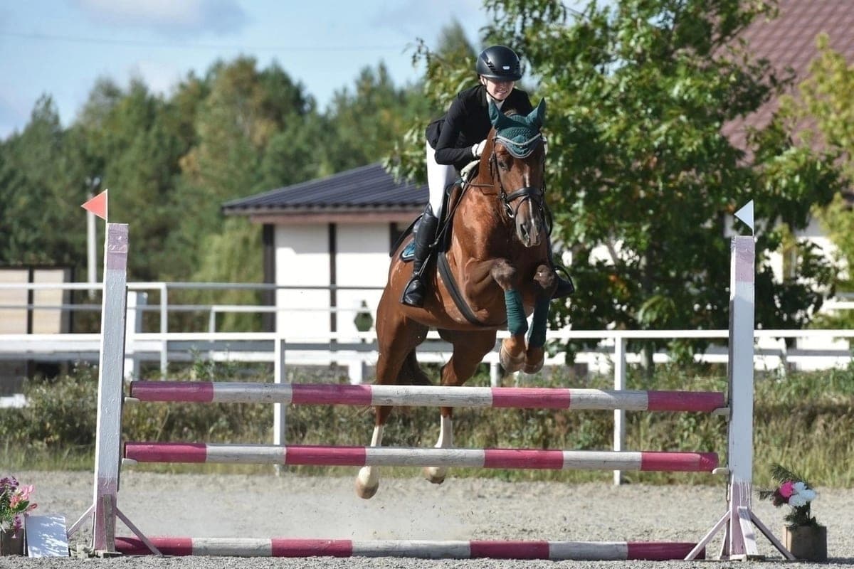 Pupils of the Oryol equestrian sports school successfully performed in the Bryansk region
