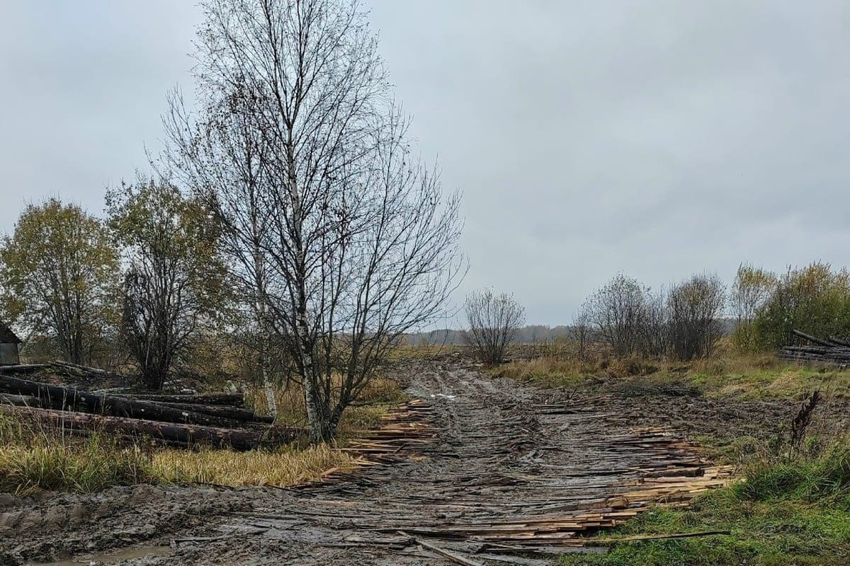 Residents of the Yaroslavl region complained about the state of the road